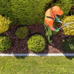 professional-gardener-at-work-e1621737860476